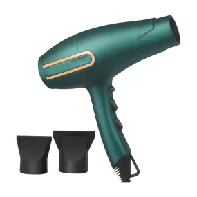 8500W Professional Salon Hair Styling Hair Dryer En-6009