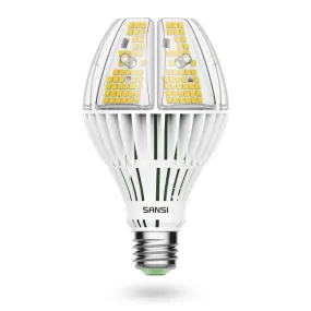 A21 60W LED 5000K Light Bulb (US ONLY)