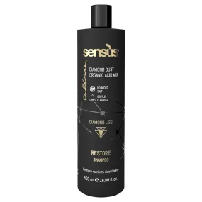 Alisa restore shampoo 500ml