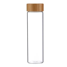 Bergner Borosilicate Glass Drinking Bottle 600ml SGN2174