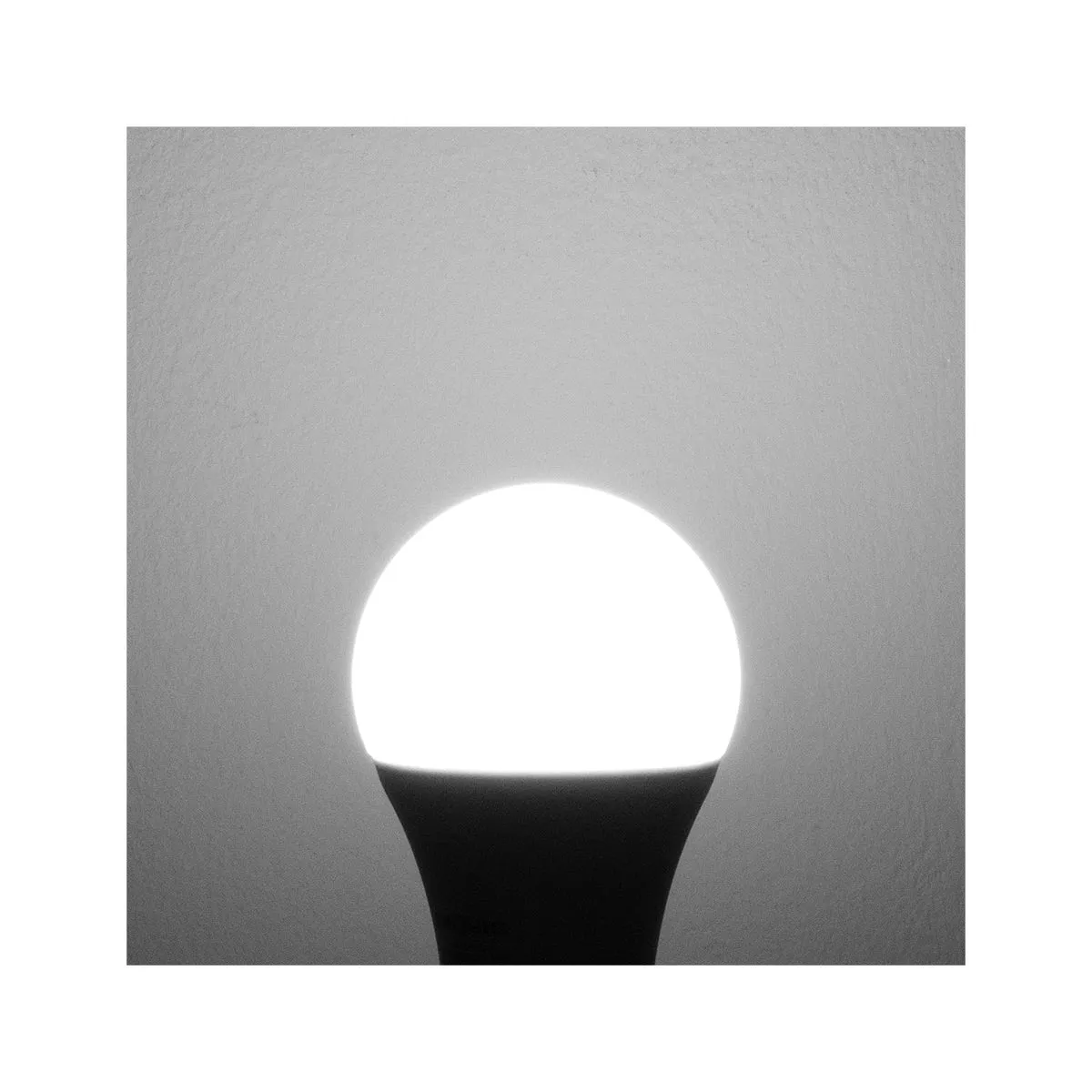 Bulb LED 9 Watts Day Light B22 (Pin)