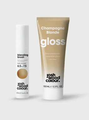 Colour Extender Kit: Dark Blonde Blending Brush & Champagne Gloss