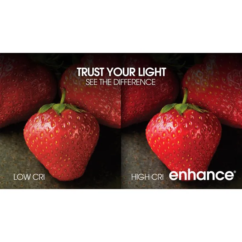 Feit Enhance A19 E26 (Medium) LED Bulb Daylight 100 Watt Equivalence 2 pk