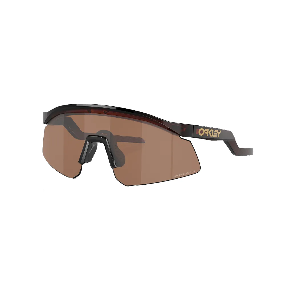 Hydra Sunglasses