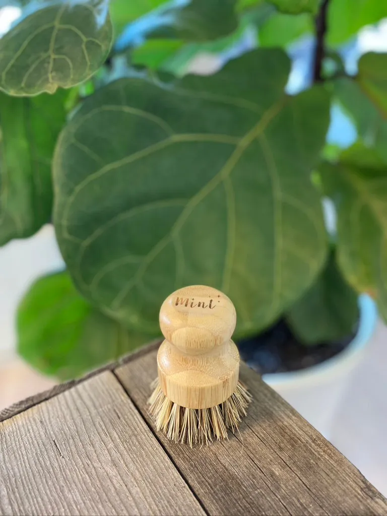 Mint Cleaning - Pot Brush