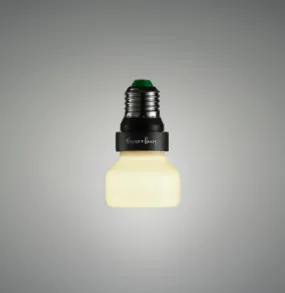 Punch Bulb